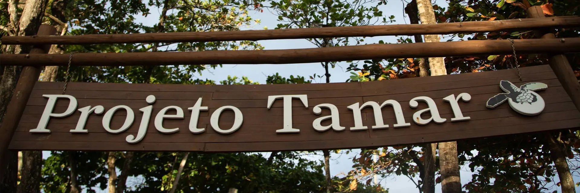Imagem da placa de sinalização do Projeto Tamar