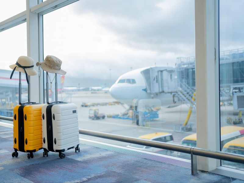 duas malas de viagem com chapéus pendurados na alça e um avião ao fundo