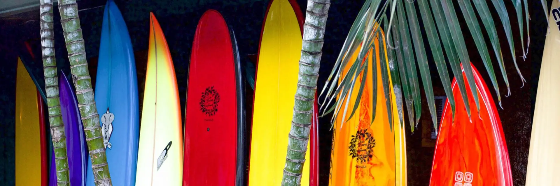 como embalar a prancha de surf para a viagem