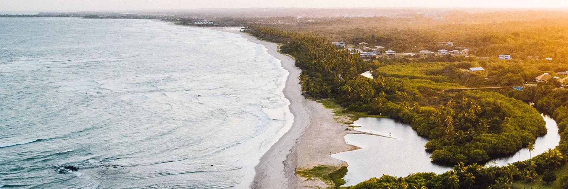 Imagem de uma praia próxima a vegetação e algumas construções