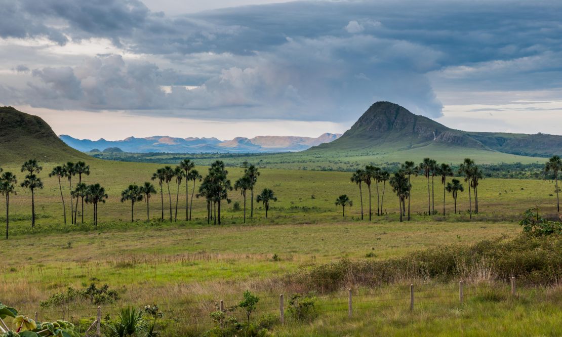 Chapada Dos Veadeiros 1.jpg