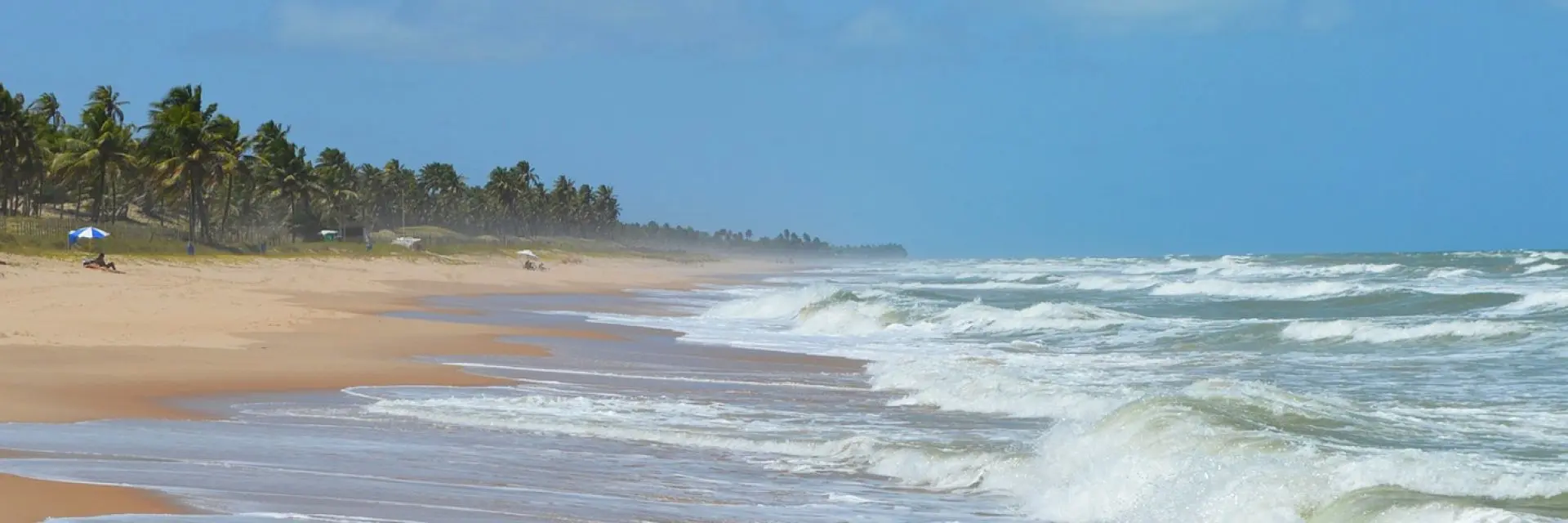 Imagem de uma praia próxima a um vegetação