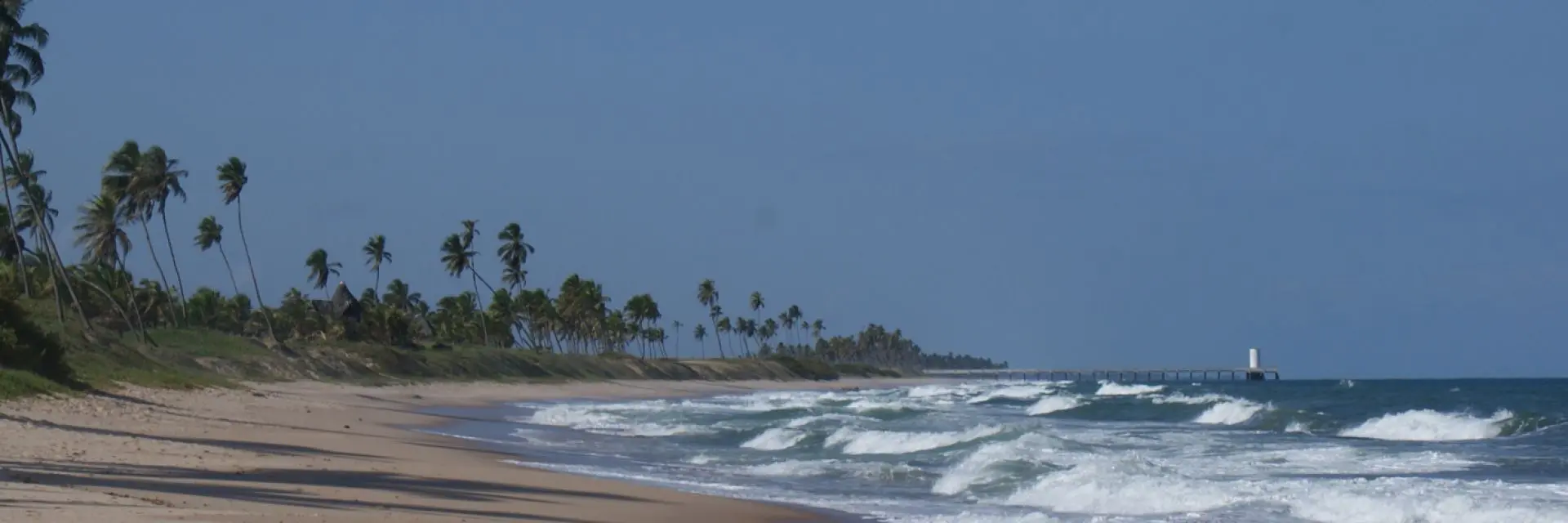 Imagem de uma praia com coqueiros