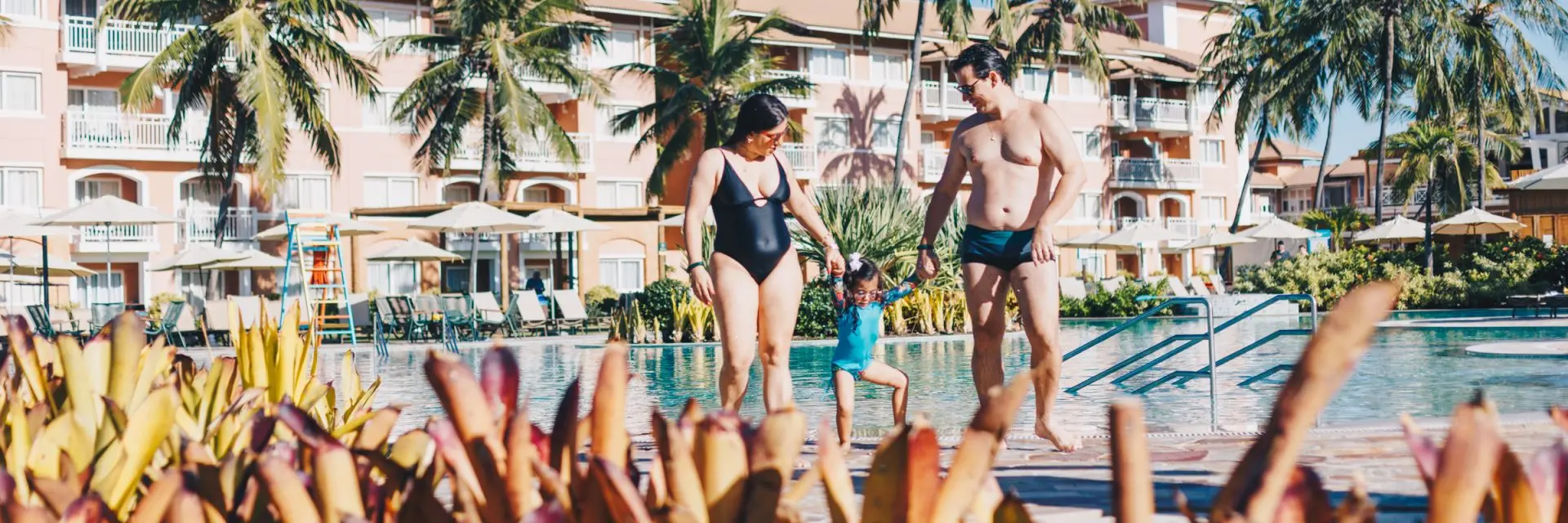 O que é traslado, como funciona e de que modo utilizá-lo?