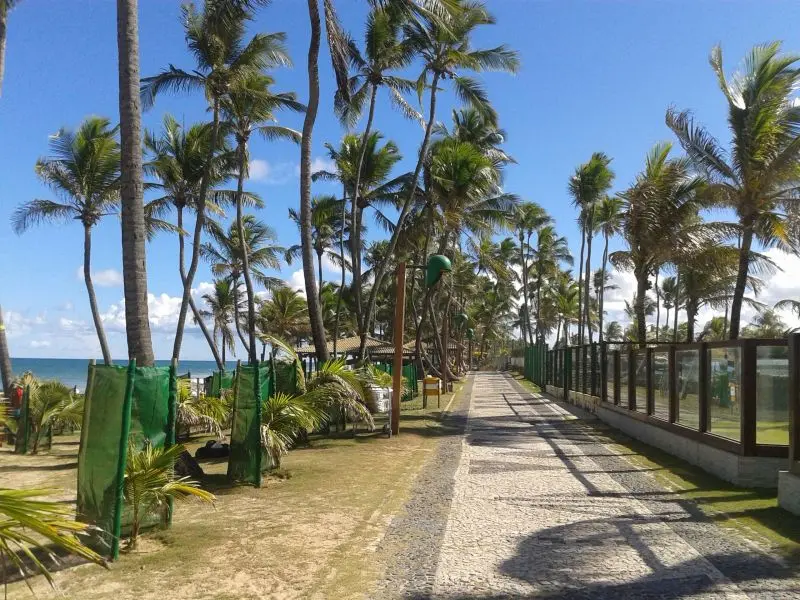 Pequena rua de paralelepípedo com coqueiros e a praia de Barreiras