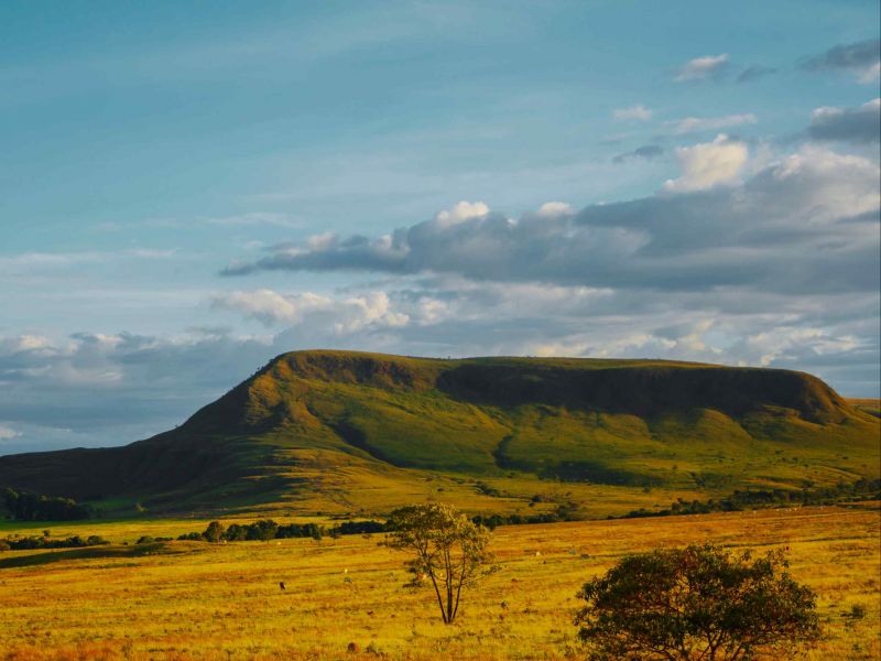 imagem panorâmica com o cerrado goiano e um dos morros na Chapada dos Veadeiros