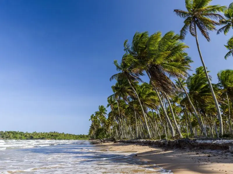 Orla da Praia da Cueia na Ilha de Boipeba