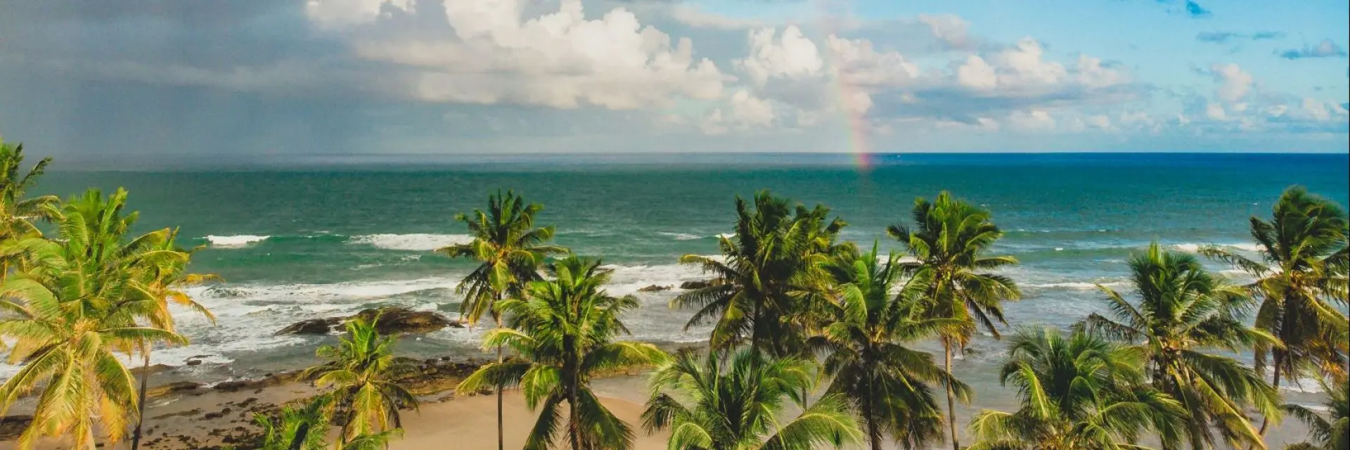 Imagem de uma praia com coqueiros