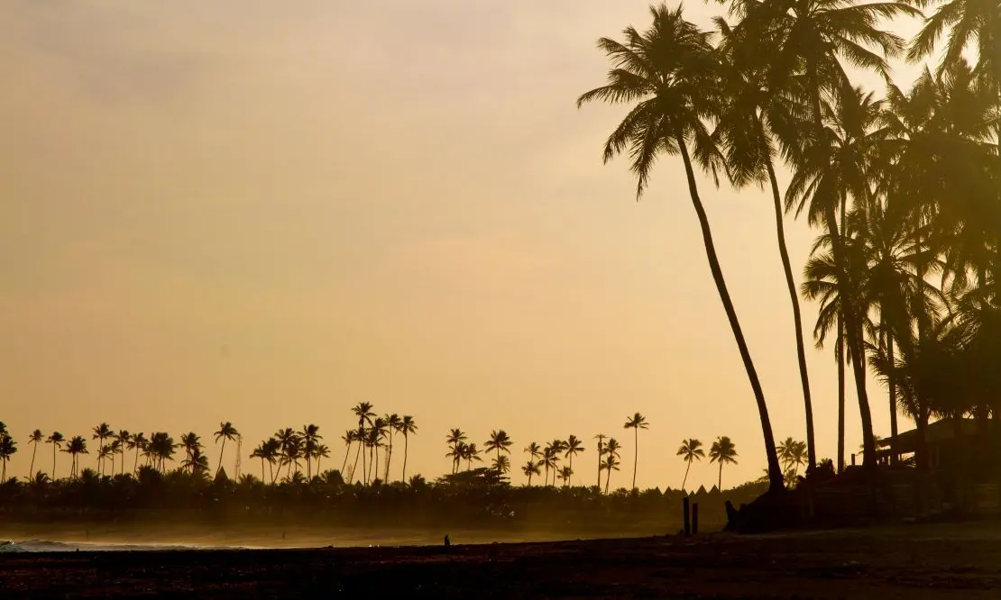 Praia de Itacimirim, na Bahia. Pôr do sol em contraste com o mar e os coqueiros. 