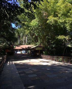 Ponte do Mergulho